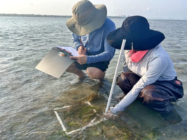 摸清生态本底 筑牢修复根基